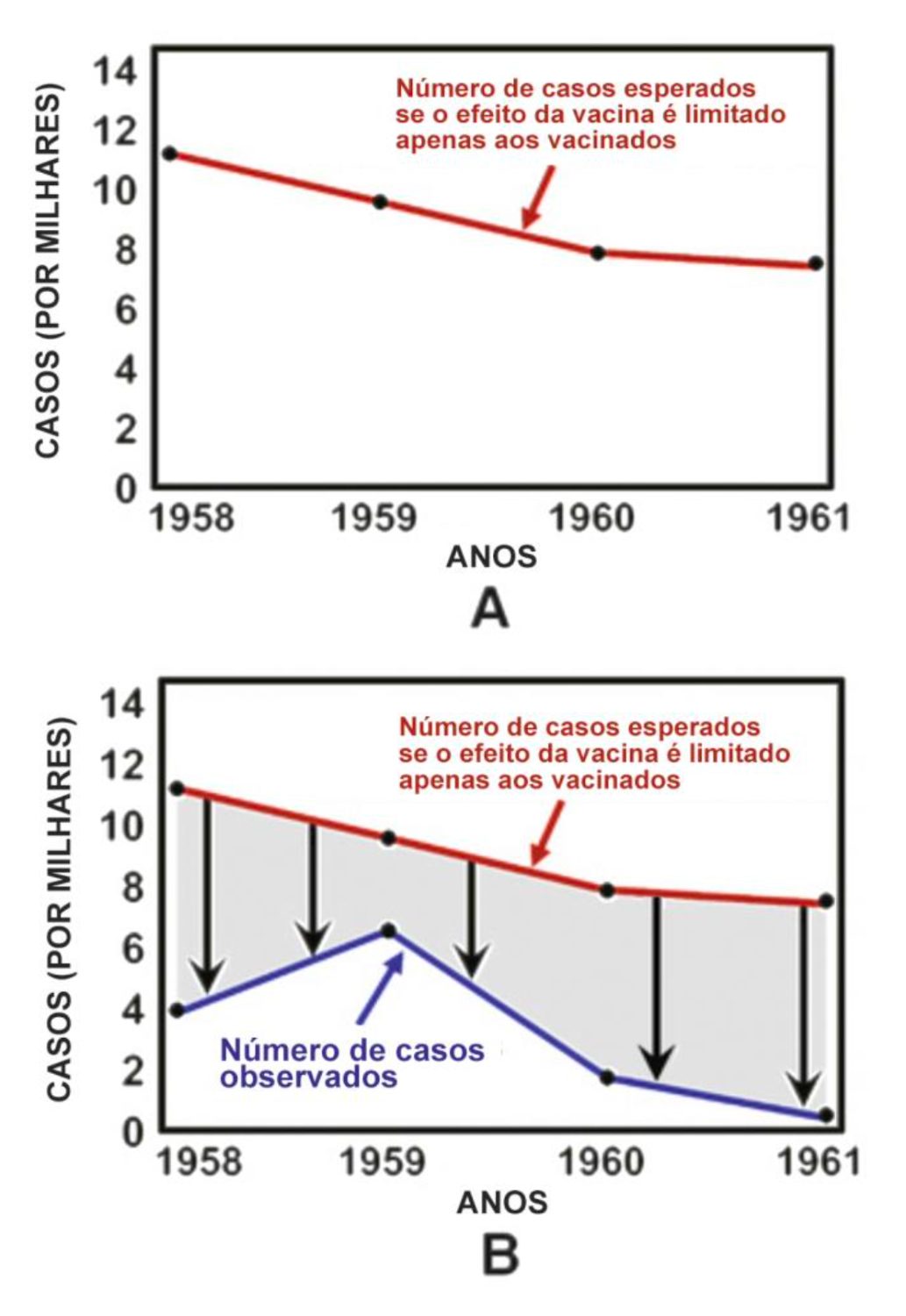 Figura da questão 81 da ENARE 2024