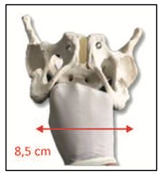 Figura da questão 110 da USP-SP 2024