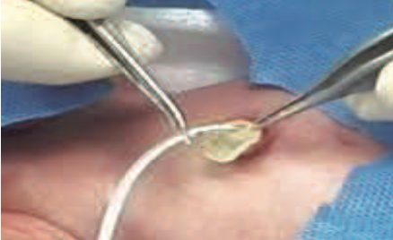 Figura da questão 12 da USP-SP 2024