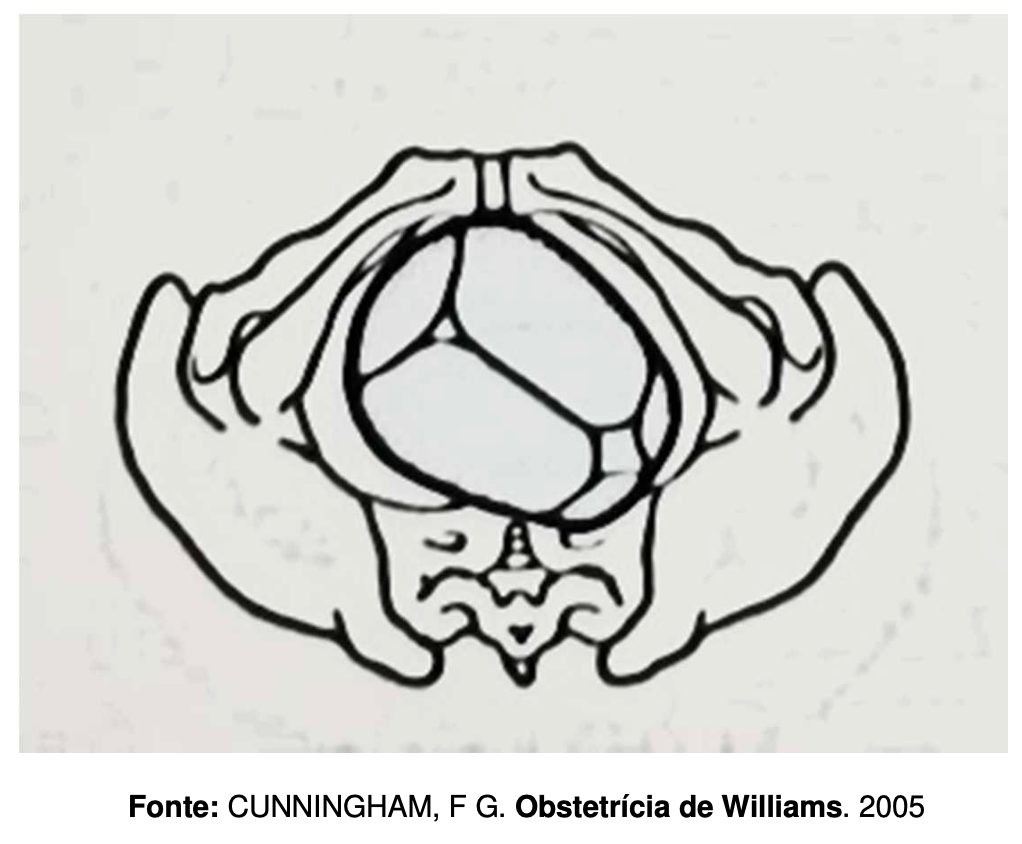 Figura da questão 58 da UERJ 2026